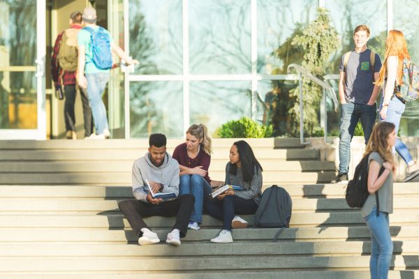 N.TT (Ist Year) Regular